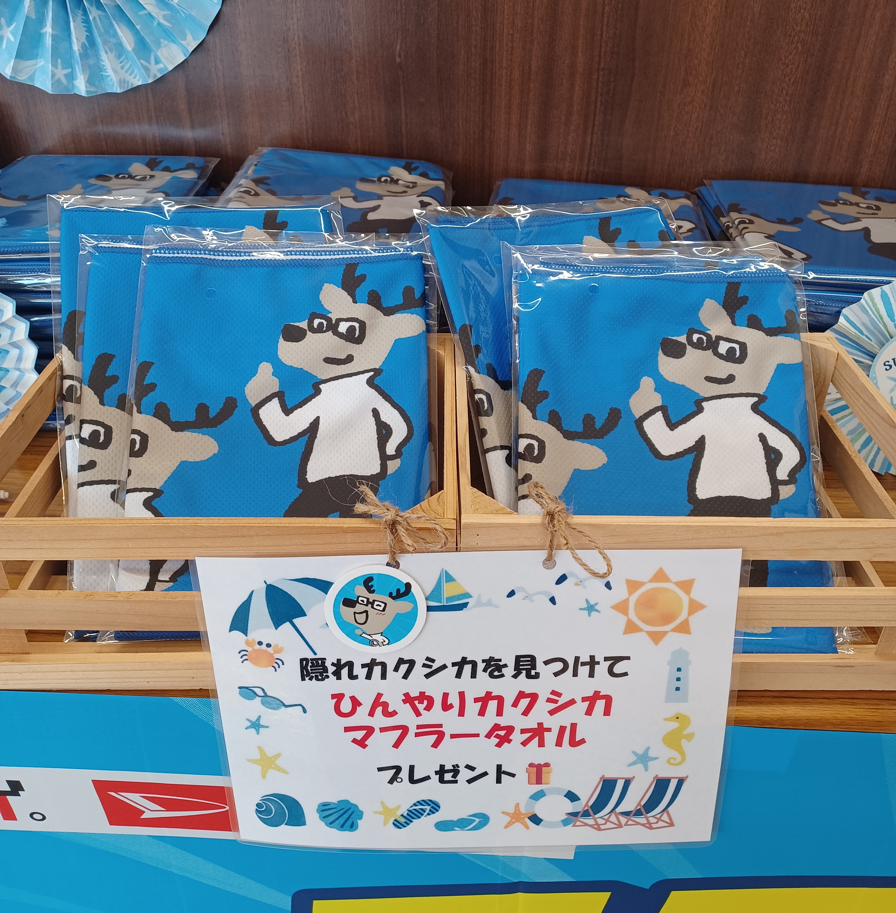 キャンペーン終了間近🔥